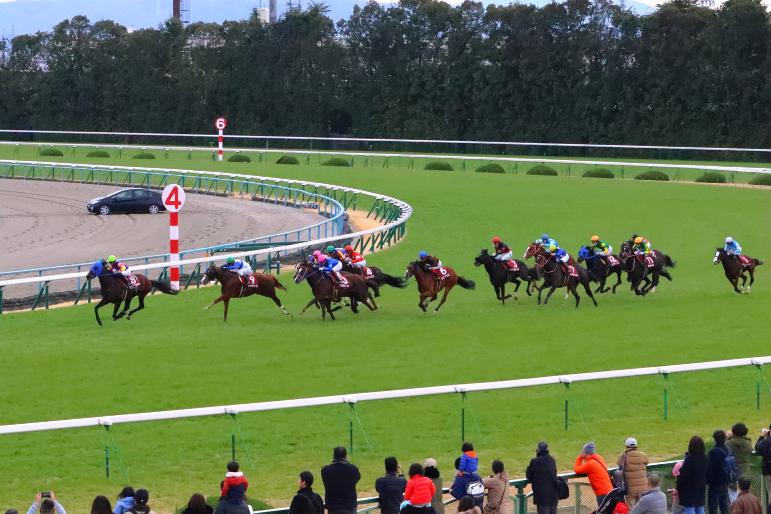 京都競馬場（「淀の坂」と呼ばれる第3コーナーの坂が特徴的な競馬場） | 藤谷貴暢オフィシャルサイト